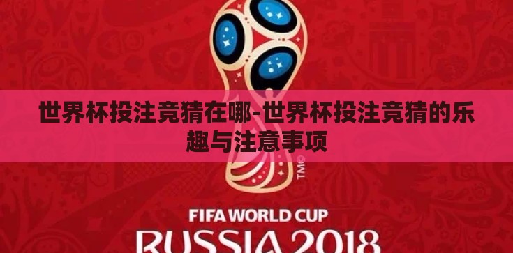 世界杯投注竞猜在哪-世界杯投注竞猜的乐趣与注意事项 世界杯投注竞猜在哪-世界杯投注竞猜的乐趣与注意事项