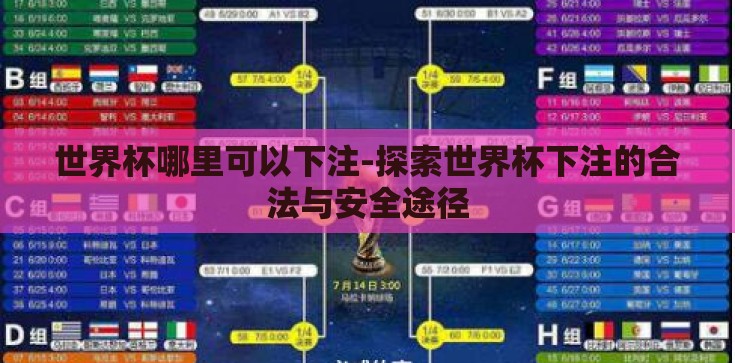 世界杯哪里可以下注-探索世界杯下注的合法与安全途径
