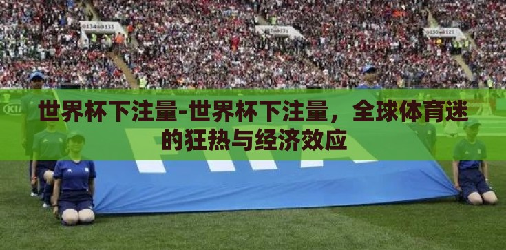 世界杯下注量-世界杯下注量，全球体育迷的狂热与经济效应