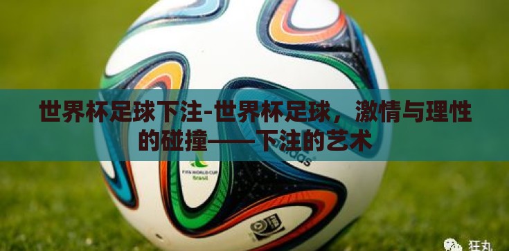 世界杯足球下注-世界杯足球，激情与理性的碰撞——下注的艺术