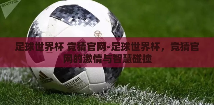 足球世界杯 竞猜官网-足球世界杯，竞猜官网的激情与智慧碰撞