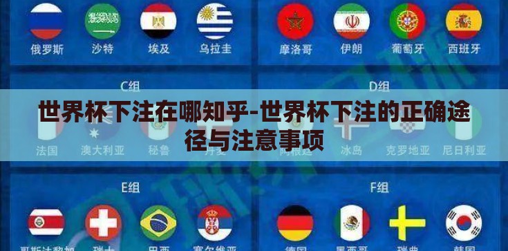 世界杯下注在哪知乎-世界杯下注的正确途径与注意事项