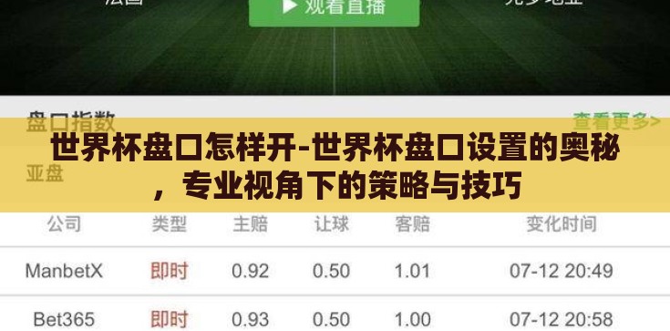 世界杯盘口怎样开-世界杯盘口设置的奥秘，专业视角下的策略与技巧