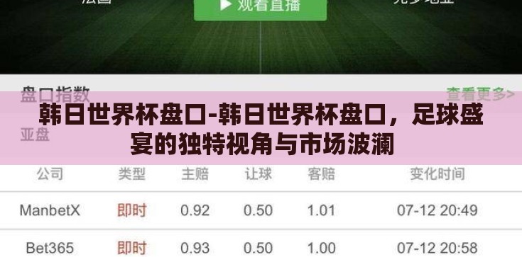 韩日世界杯盘口-韩日世界杯盘口，足球盛宴的独特视角与市场波澜