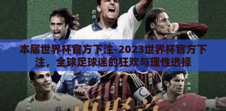 本届世界杯官方下注-2023世界杯官方下注，全球足球迷的狂欢与理性选择