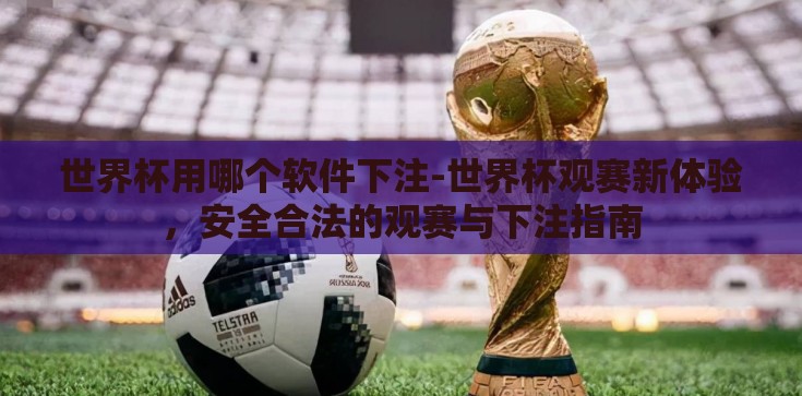 世界杯用哪个软件下注-世界杯观赛新体验，安全合法的观赛与下注指南