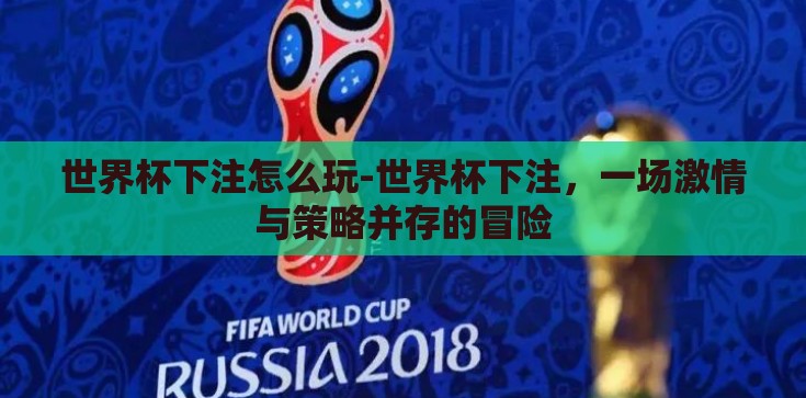 世界杯下注怎么玩-世界杯下注，一场激情与策略并存的冒险