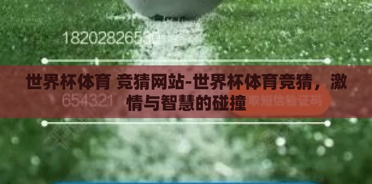 世界杯体育 竞猜网站-世界杯体育竞猜，激情与智慧的碰撞