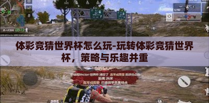 体彩竞猜世界杯怎么玩-玩转体彩竞猜世界杯，策略与乐趣并重