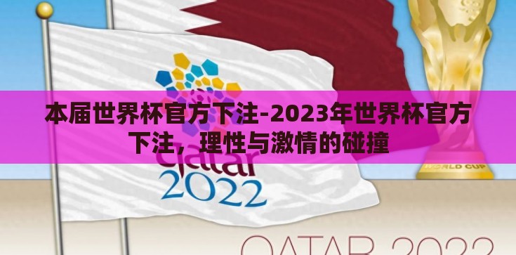 本届世界杯官方下注-2023年世界杯官方下注，理性与激情的碰撞